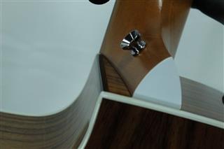 TAYLOR GUITARS 214CE DLX